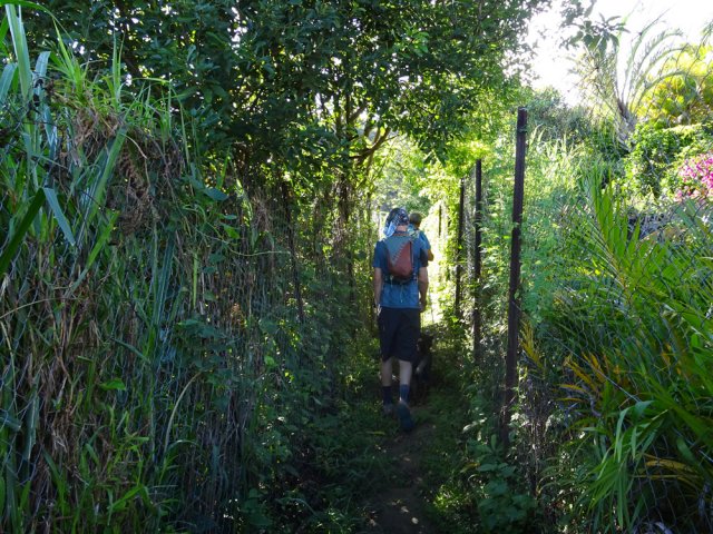 Début du sentier de l'Escalier entre deux hauts grillages