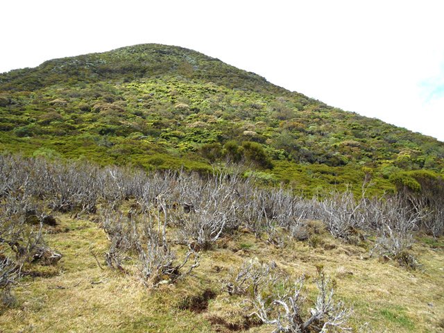 Le Piton Rouge avant la montée. Les prairies alentour comportent encore des restes de végétation.