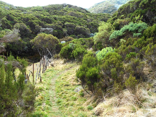 Le début de la montée vers le sommet du Piton Rouge