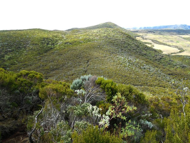 Le GRR2 en direction de l'Argamasse en haut du Piton Rouge