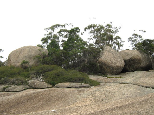 Retour au bois du départ.