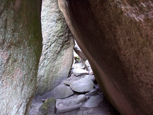 A la recherche des gros lézards de Bald Rock.