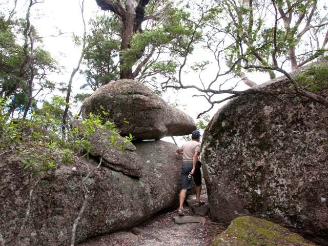 Les rochers et les arbres sur le toit de Bald Rock.