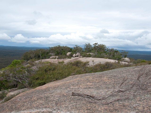 Panorama sur le sommet de Bald Rock.