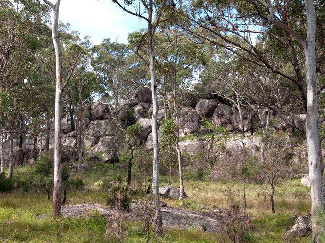 L'arrivée à Bald Rock comporte déjà beaucoup de roches sur le bord de la route