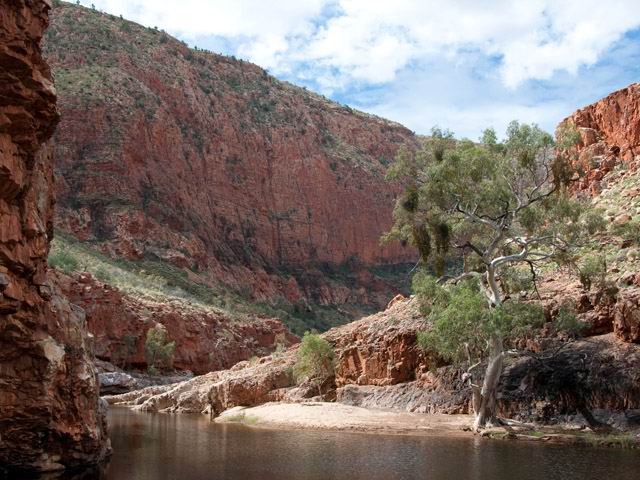 Ormiston Gorge