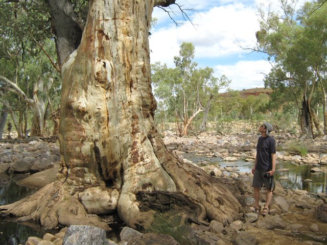 Un ancêtre qui a bien résisté aux crues