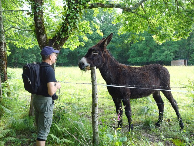 Un peu d'herbe verte pour entretenir l'amitié