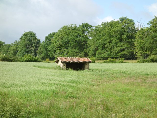 Paysage bucolique de la campagne limousine
