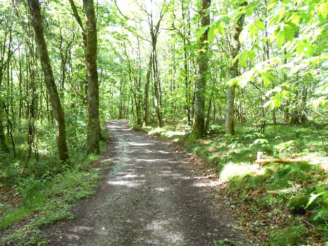 La longue piste après la Valade