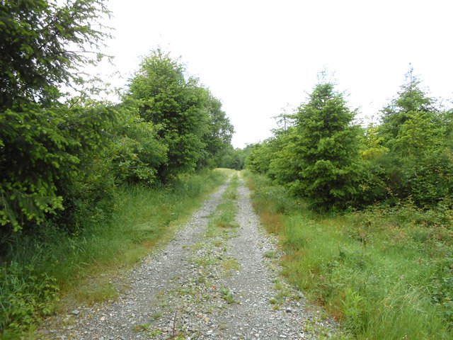 Le Chemin à prendre avant Bellevue