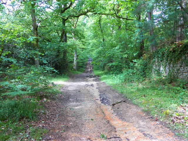 Le chemin en forte pente avant de traverser la RD17