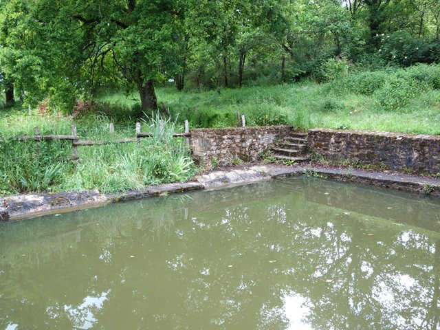 Le lavoir abrite de nombreuses grenouilles qui sautent au moindre bruit