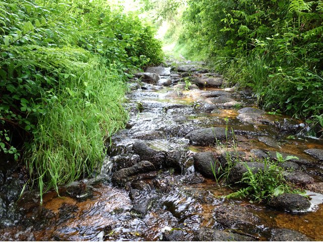 Le ruisseau emprunte une portion de piste