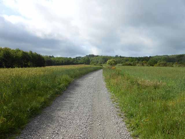 Le chemin des Baschauds vers Roussis