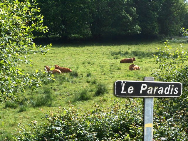 Les vaches du Paradis (montage)