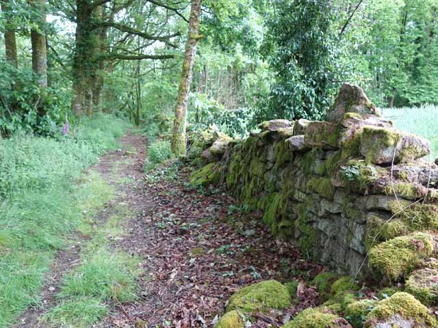 Le sentier qui redescend vers le Paradis