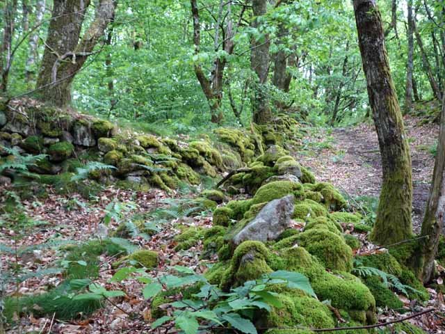 Une autre portion en charchant les cabanes