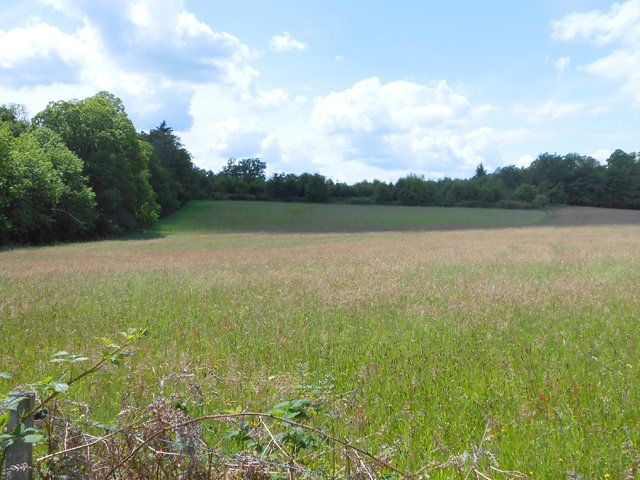 Des pâturages à perte de vue qui seront fauchées en juin
