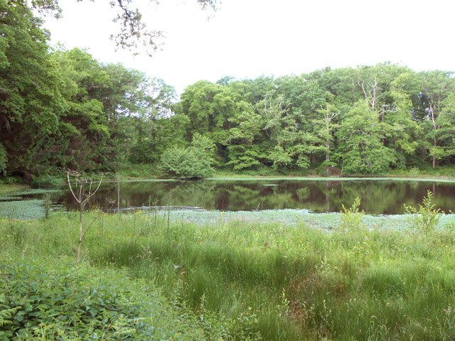 Un des trois étangs de la Haute Garde