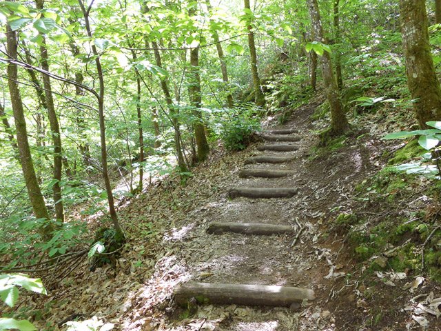 Le sentier qui redescend en direction du chalet Corot