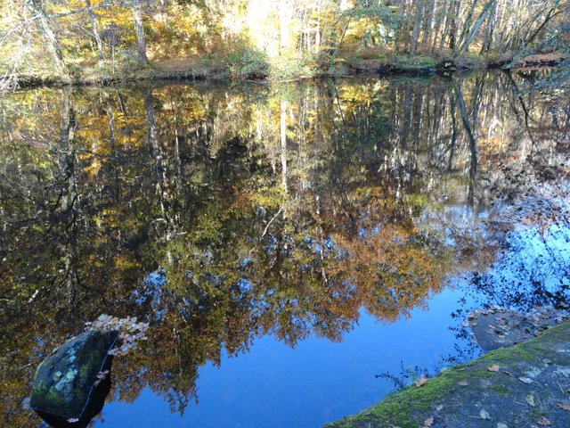 L'écluse crée une surface lisse qui sert de miroir