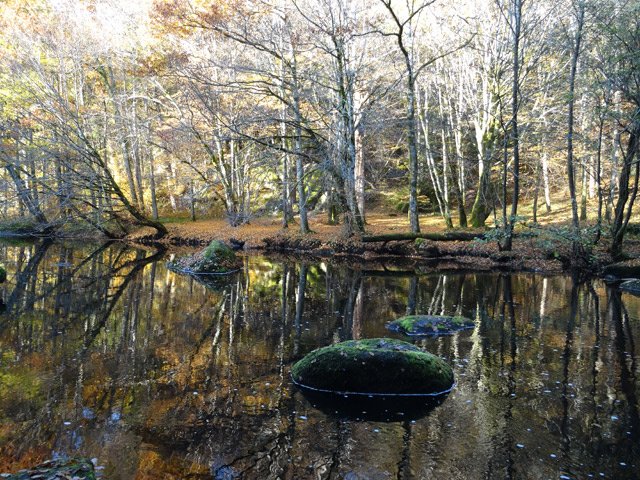 Toujours aussi calme avec des pierres qui dépassent