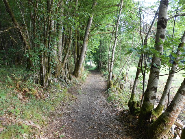 Un agréable chemin qui quitte Erin pour descendre vers la Vienne