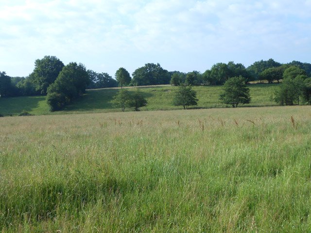 Que serait le Limousin sans ses prairies et ses forêts ? ...