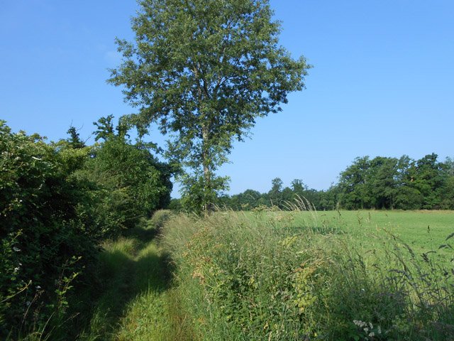 L'étroit chemin qui remonte vers Ratterie