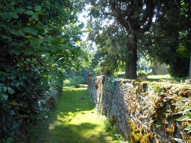 Allée d'herbe rase entre les propriétés