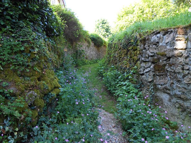 D'autres murs et un chemin envahi de pélargoniums