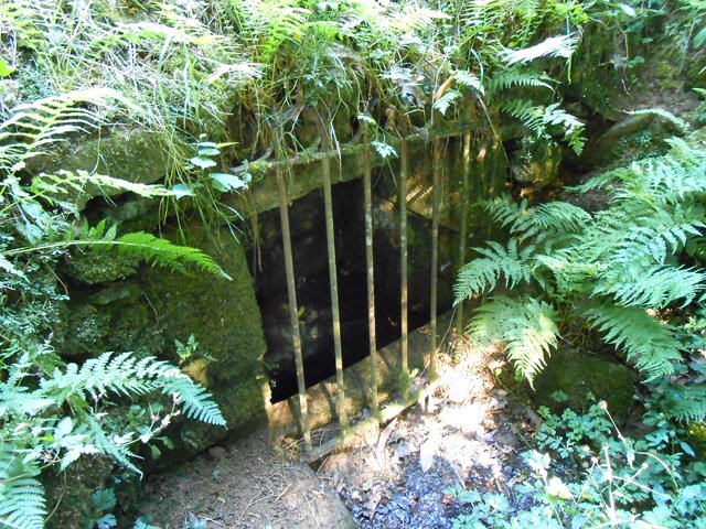 Le puits difficile à observer derrière sa grille