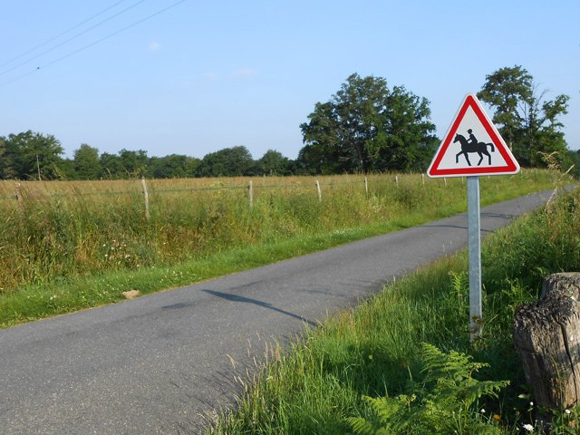 On s'approche du club hippique