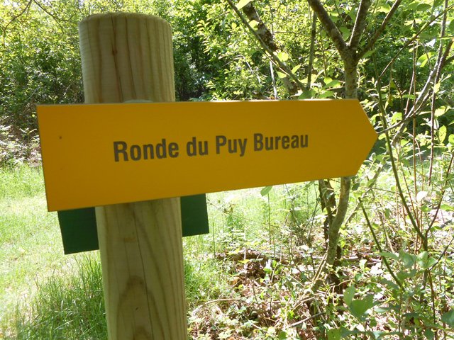 On rencontre d'autres circuits dans la forêt