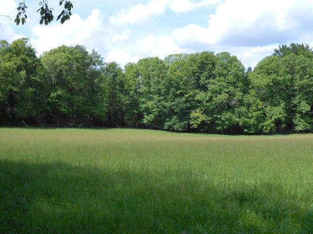 Paysage classique du limousin entre prairies et bois de chênes