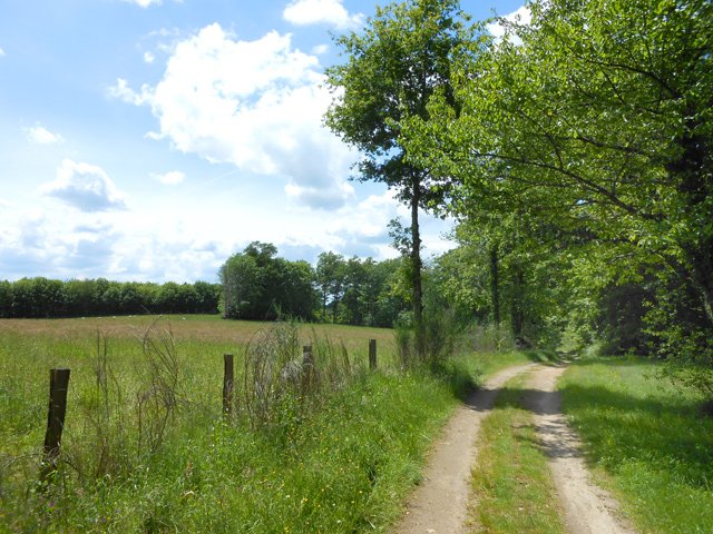 Chemin idéal pour des sorties en VTT
