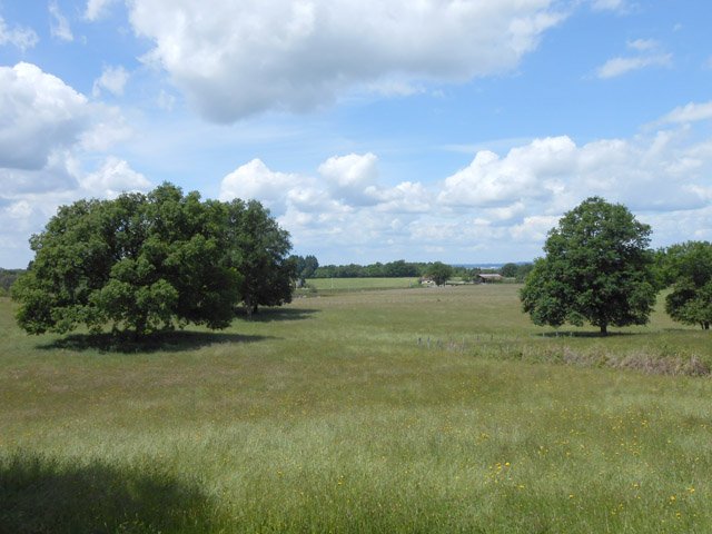 Des prairies, parfois à perte de vue