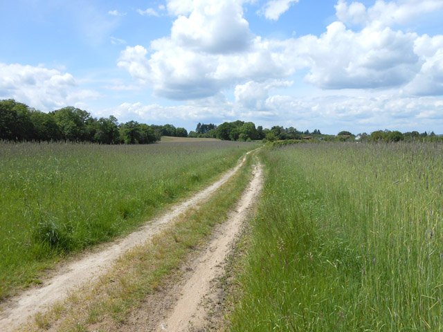 Très agréable chemin pour rejoindre Montpoutier
