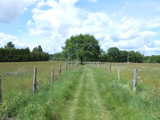 On rejoint la route par une piste herbeuse dans les prairies