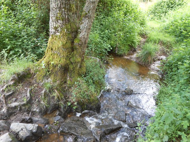 Traversée du Ruisseau de la Cordelle
