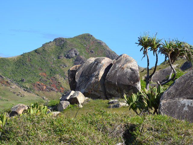 Le rocher éléphant avant Lokaro