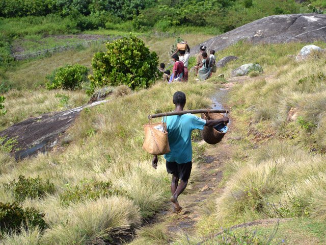 Le sentier qui revient à l'école, assez fréquenté