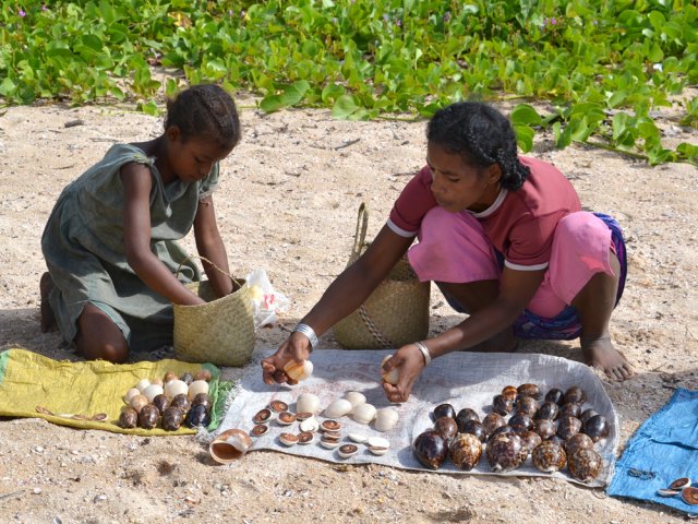 Les femmes se précipitent pour vendre les coquillages à l'arrivée des marcheurs