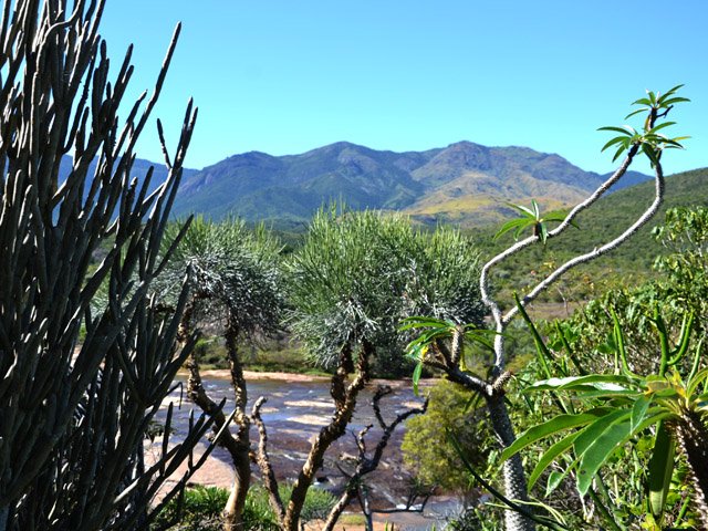 On pourra voir des dizaines d'espèces d'épineux ou de cactées