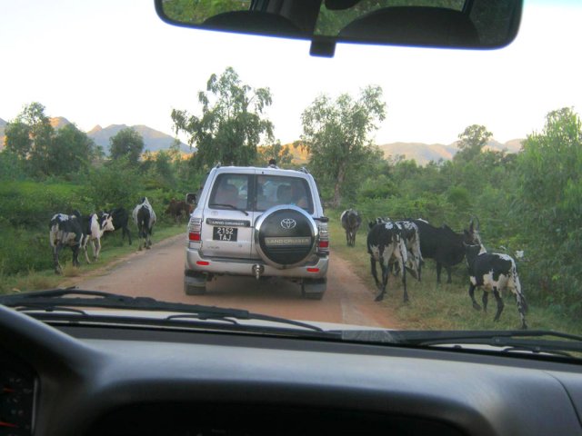 Longue sortie en 4x4 pour mieux connaître la région
