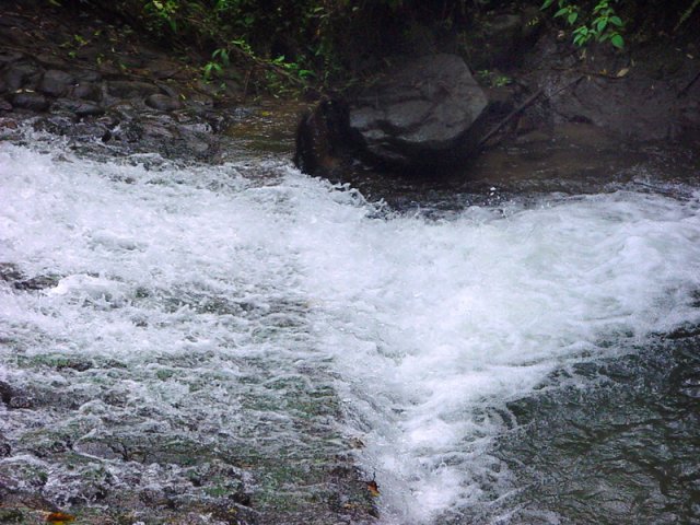 Une écluse a été créée pour remonter le niveau de l'eau