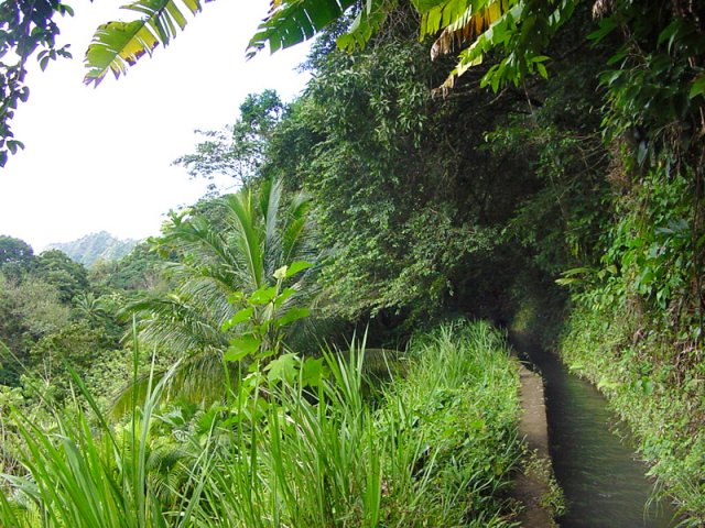 Les herbes sont parfois hautes mais le passage demeure