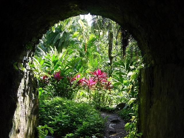 Passage sous le tunnel, presque en fin de course, vers Fonds Macret