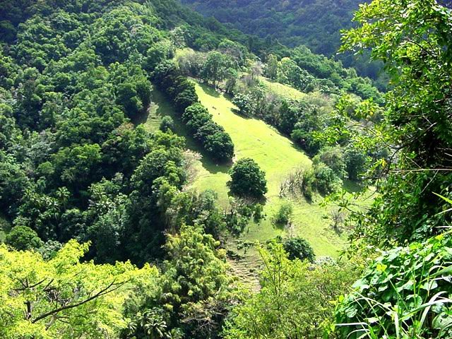 Vue en direction de la Plassonnerie